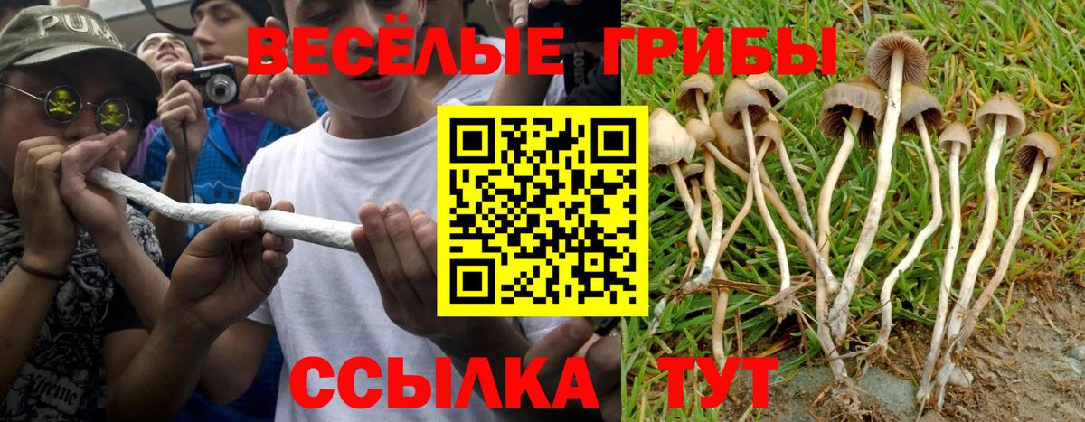 Галлюциногенные грибы ЛСД Севастополь
